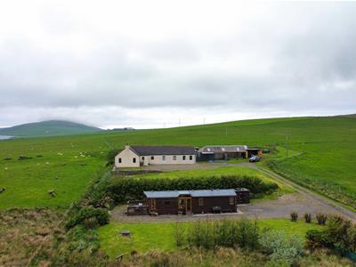 Picture 41